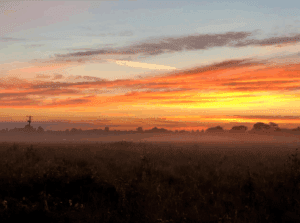 Strategic Land, 14 Acres