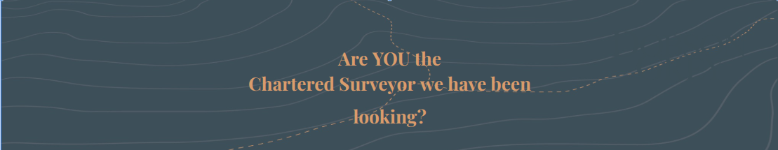 We invite applications for the role of an Ambitious Chartered Surveyor
